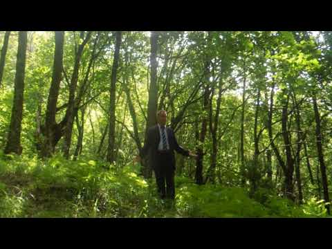 Bukurite e Dukagjinit - Kole Martini