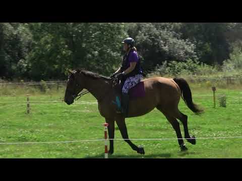 2021.08.14 - Canter poles lesson with Amber (Sony FDR AX53 4k + Pixio)