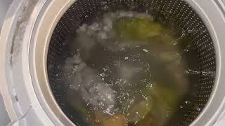 Testing a Maytag Washer | how a washer without an Agitator Washes.