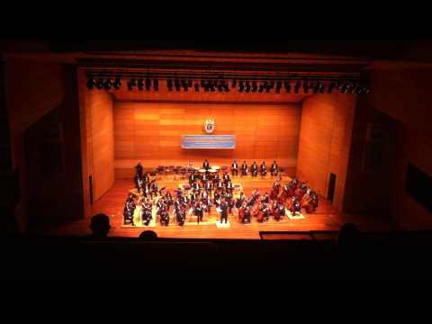 Dmitry Sitkovetsky / Chikara Iwamura - BSO - Excerpt