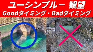 【詳細解説】丹沢の秘境 ユーシン渓谷 ユーシンブルー”  観望 Goodタイミング・Badタイミング・玄倉ダムへの行き方・ユーシンブルーの映像 神奈川県随一の清流 玄倉川 2025年3月23日