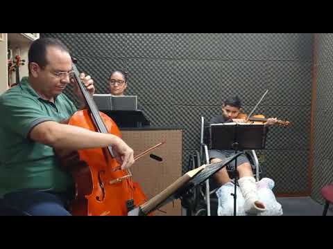 Hino 108 Violoncelo Jahnke HS 45 Harmonia Gabriel no Violino