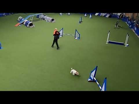 Keet parcours Daniel Walz 01-22