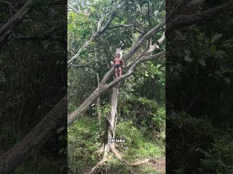 No WiFi. No fancy plans. Just the boys, a big tree, and the river.
