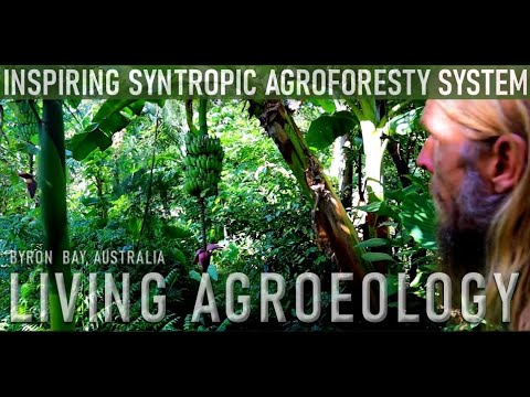 Regenerative Farm Design Service