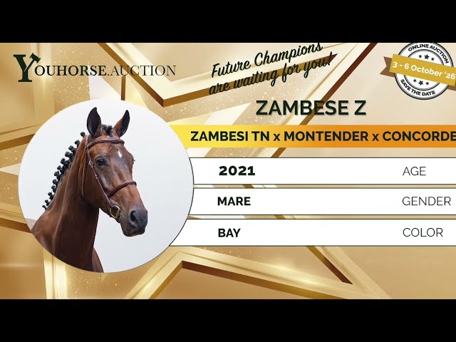 Zambese showvideo