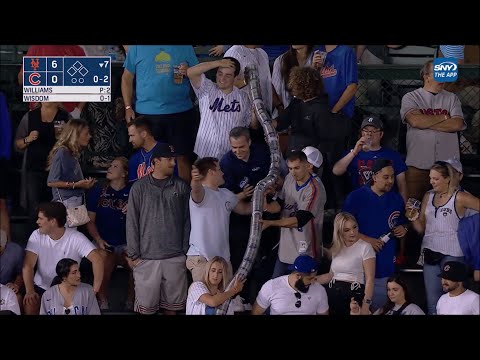 Cup Snake Interview 7/14/2022