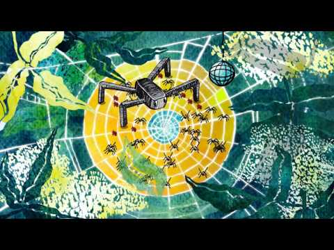 Spider Disco youtube-video