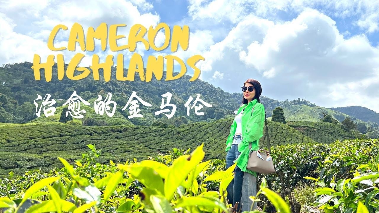 【马来西亚Cameron】金马伦高原---新加坡的后花园/避暑胜地/BOH茶园 Cameron Highlands---Singapore's back garden/summer resort