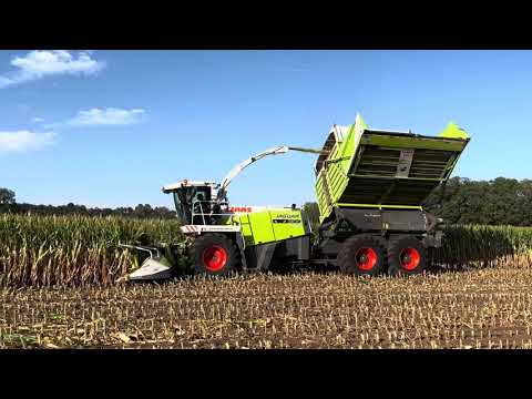 Claas Jaguar 900 Field Shuttle eating maize at high speed