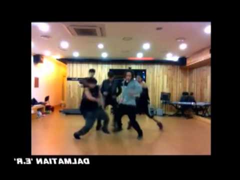 Dalmatian E.R Dance practice (Mirror)