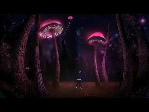 Zakyo - haribo (Video Oficial) | Wonderland