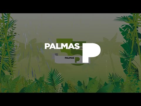 download lagu mp3 mp4 Grupo Palmas, download mp3 Grupo Palmas free download mp3, download mp3 Grupo Palmas