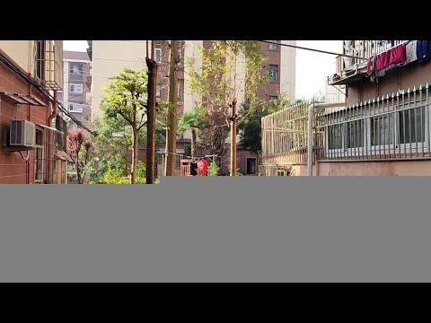 Em 2023, o distrito com a maior largura de desembarque no centro de Xangai? A verdadeira história da aldeia