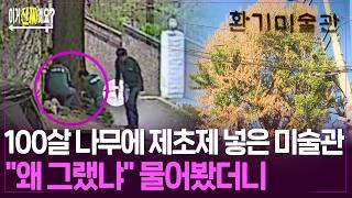 100살 나무에 제초제 넣은 미술관…"왜 그랬냐" 물어봤더니/ 연합뉴스TV(YonhapnewsTV)