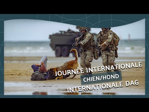 Koksijde K9-Day Coxyde