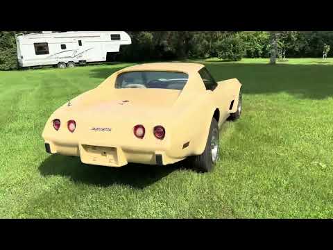 1976 Chevrolet Corvette Stingray (CC-1754169) for sale in Carsonville, Michigan