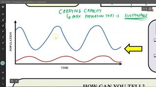 Predator - Prey Population Cycles