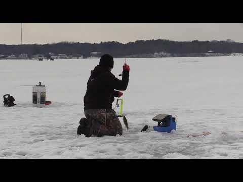 Lake Mendota Perch Fishing 2 16 2020