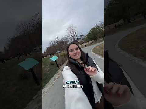 What Birthright Israel Trips Look Like