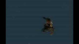 FFX - Sonata Arctica - Peacemaker