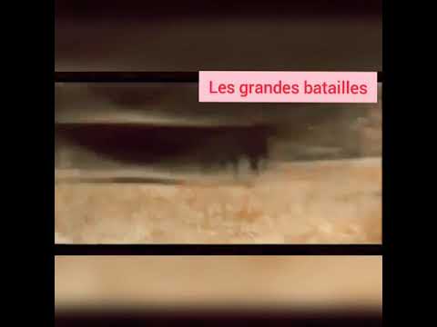 Histoire: les grandes batailles de l'antiquité