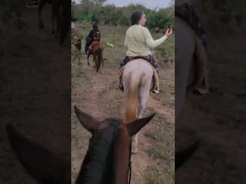 Cavalgada na Mata Pantaneira no Mato Grosso do Sul.