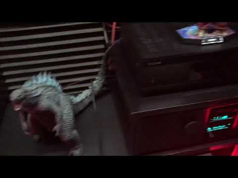 JL Audio F113v2 and Procella Audio V18 work together! My hair is moving as beats !