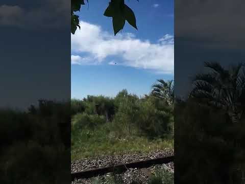 estación Pampa Tacuarembó