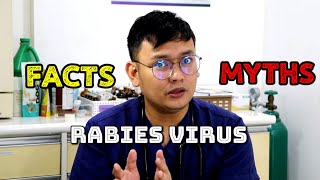 FACTS 💯 vs MYTHS 🔥 about RABIES VIRUS