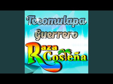 Popurri Sones de Guerrero: Flor de piña / Verdad de Dios / El toro meco / La iguana