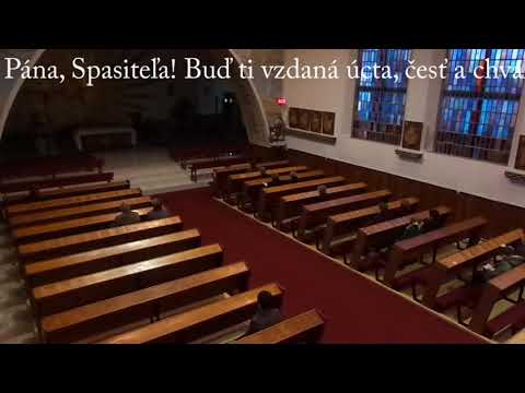 JKS 500 - Ó, predrahá duše mojej cena