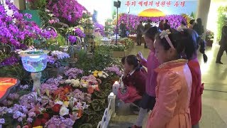 Re: [新聞] 台南水道博物館5週年慶蘭花展「賴清德蘭」