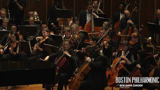Mozart: The Magic Flute - Overture (Benjamin Zande