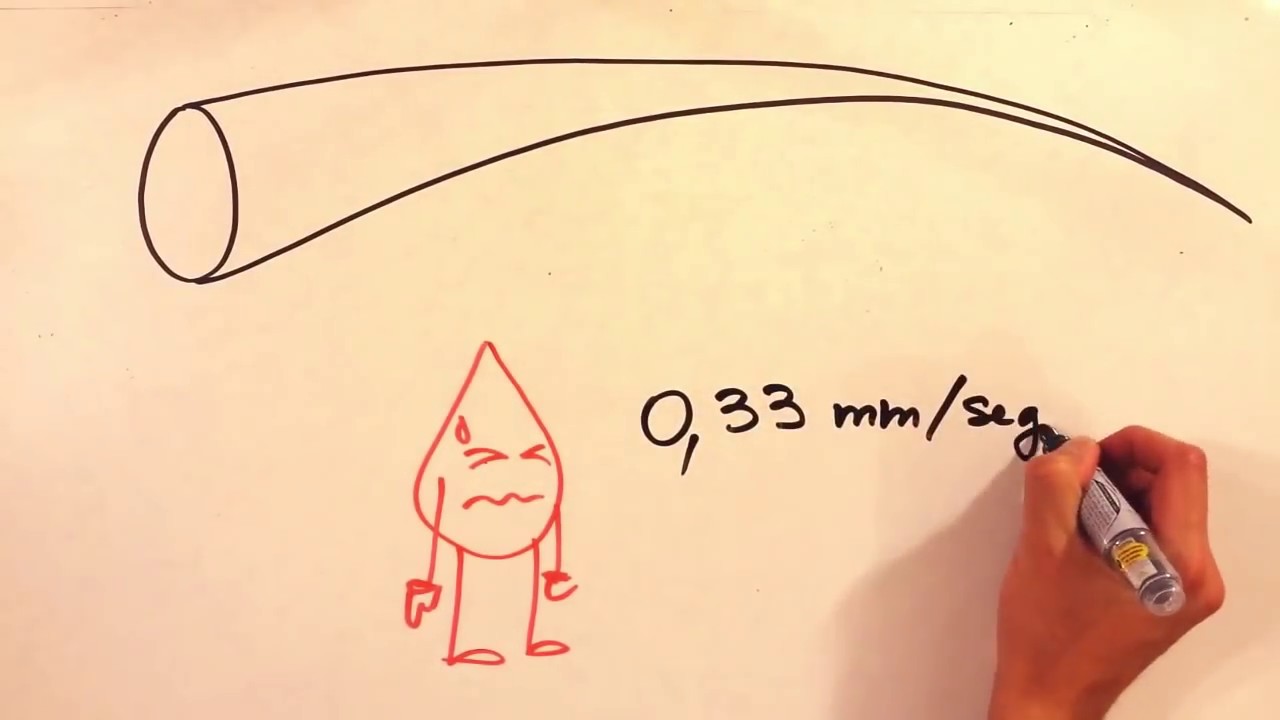 Fisiología de la hemodinamia