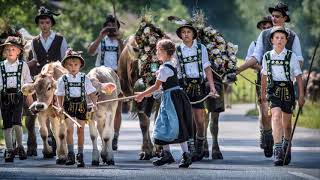 Haindling - "Bayern des samma mia" (Lyrics)