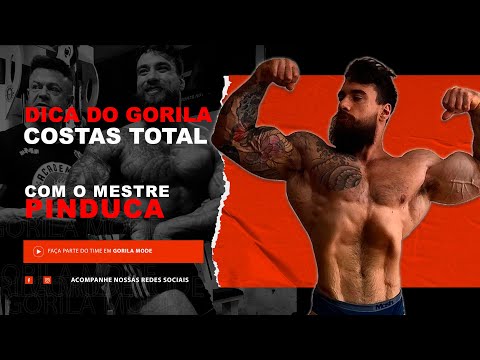 JULIO GORILA E PINDUCA - TREINO DE COSTAS TOTAL