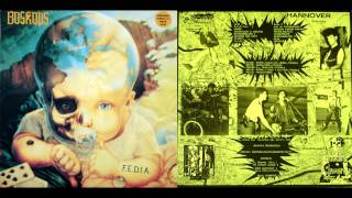 Boskops - Zeichen der Zeit