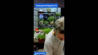 Now Anyone Can Grow Food