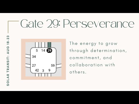 Human Design Solar Transit - Gate 29: Perseverance