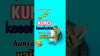 Download lagu Kata bijak lucu NGAKAK TERTAWA Kunci sehat #shorts #lucu #sehat mp3 Download lagu Kata bijak lucu NGAKAK TERTAWA Kunci sehat #shorts #lucu #sehat mp3