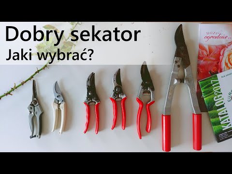 Jaki sekator do ogrodu? Zobacz na co zwrócić uwagę.