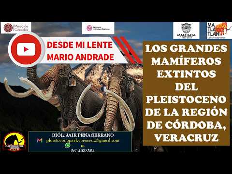 MAMIFEROS DEL PLEISTOCENO EN LA REGION DE CORDOBA MARZO 13 2026