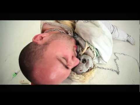 Gaïden - Paix Amour & Actes de Barbarie - ( Kyo Itachi )