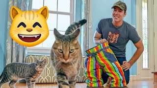 Crazy Cat Pants Review | Weird Cat Products Found on Amazon