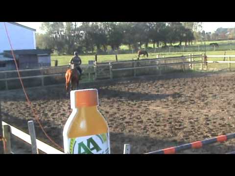 Gigi D'Argentina 16/10/2011 Binnenhof