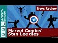 Video for "   Stan Lee", comics