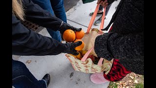 What are the SNAP changes coming to at least 18 states?