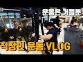 회사원, 어깨 이정도만 해도 충분하다│칠리팸 vlog