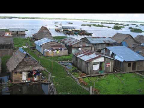 Notre Dame Researchers Work to Combat Dengue Fever and Malaria